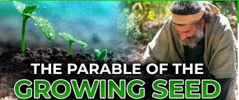growing seed - Jesus Christ is Lord growing seed