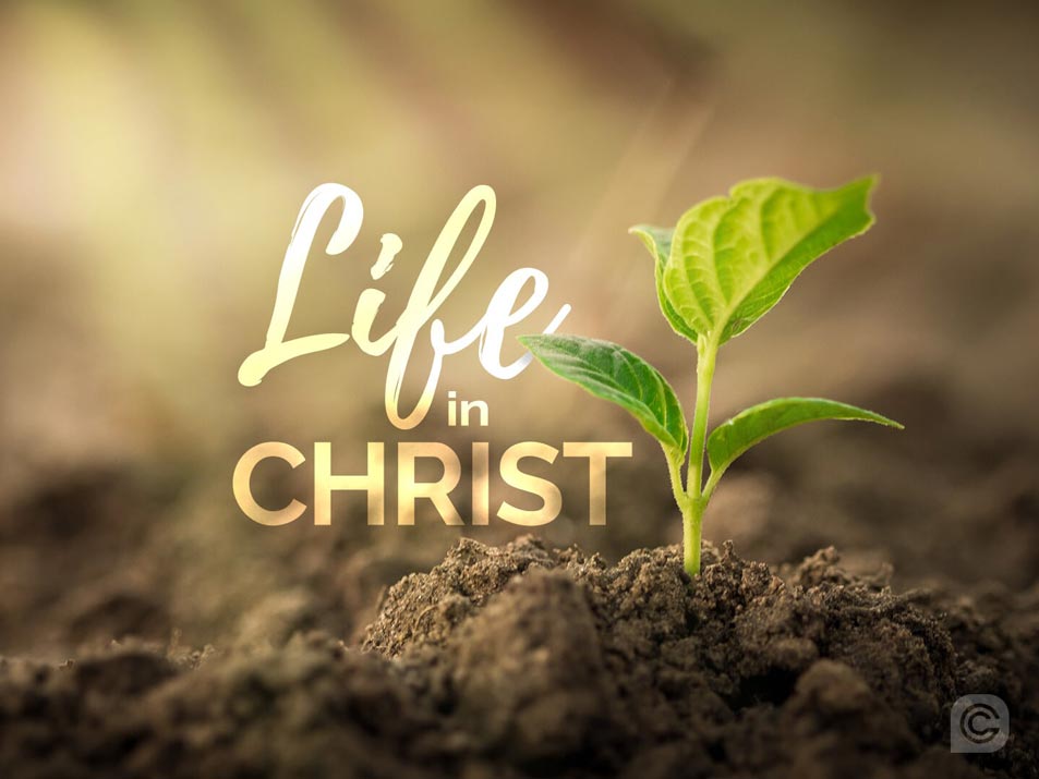 New Life in Christ